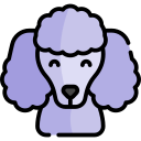 perro icon