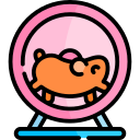 rueda de hamster icon