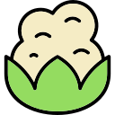 coliflor icon