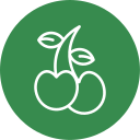 cereza icon