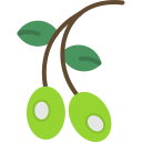 aceituna icon