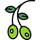 aceituna icon