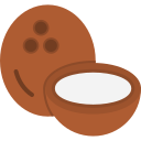 coco icon