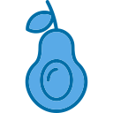 aguacate icon