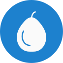 pomelo icon