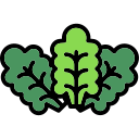 lechuga icon