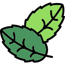 menta icon