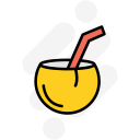 bebida de coco icon