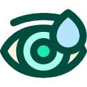 ojo icon