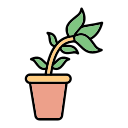 planta icon