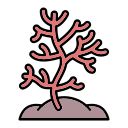 coral icon