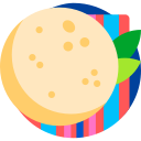 tortilla icon