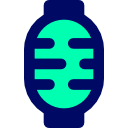 linterna icon