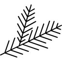 분기 