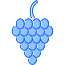 uvas icon