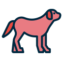 perro icon