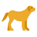 perro icon