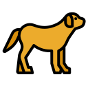 perro icon