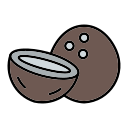 coco icon