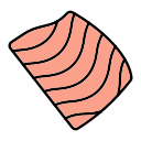 salmón icon