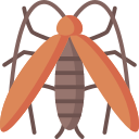 cucaracha icon