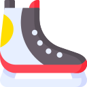Zapatillas de skate 