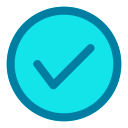 lista de verificación icon