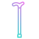 Walking stick 