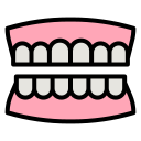 dentadura icon