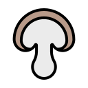 seta icon