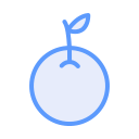 naranja icon