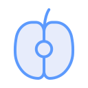 manzana icon