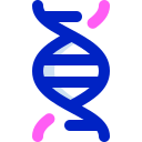 genoma 