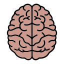 cerebro icon