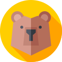 oso icon