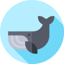 ballena icon