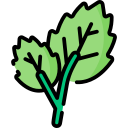 menta icon