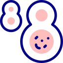 mitosis icon