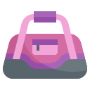 bolso icon