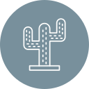 cactus icon