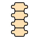 Columna vertebral icon