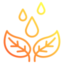 hoja icon