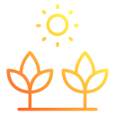 luz del sol icon