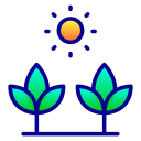 luz del sol icon