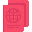 pasaporte icon