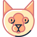 gato icon