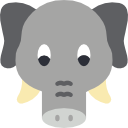 elefante