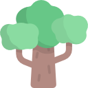 Árbol icon