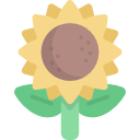 girasol icon