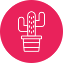 cactus icon